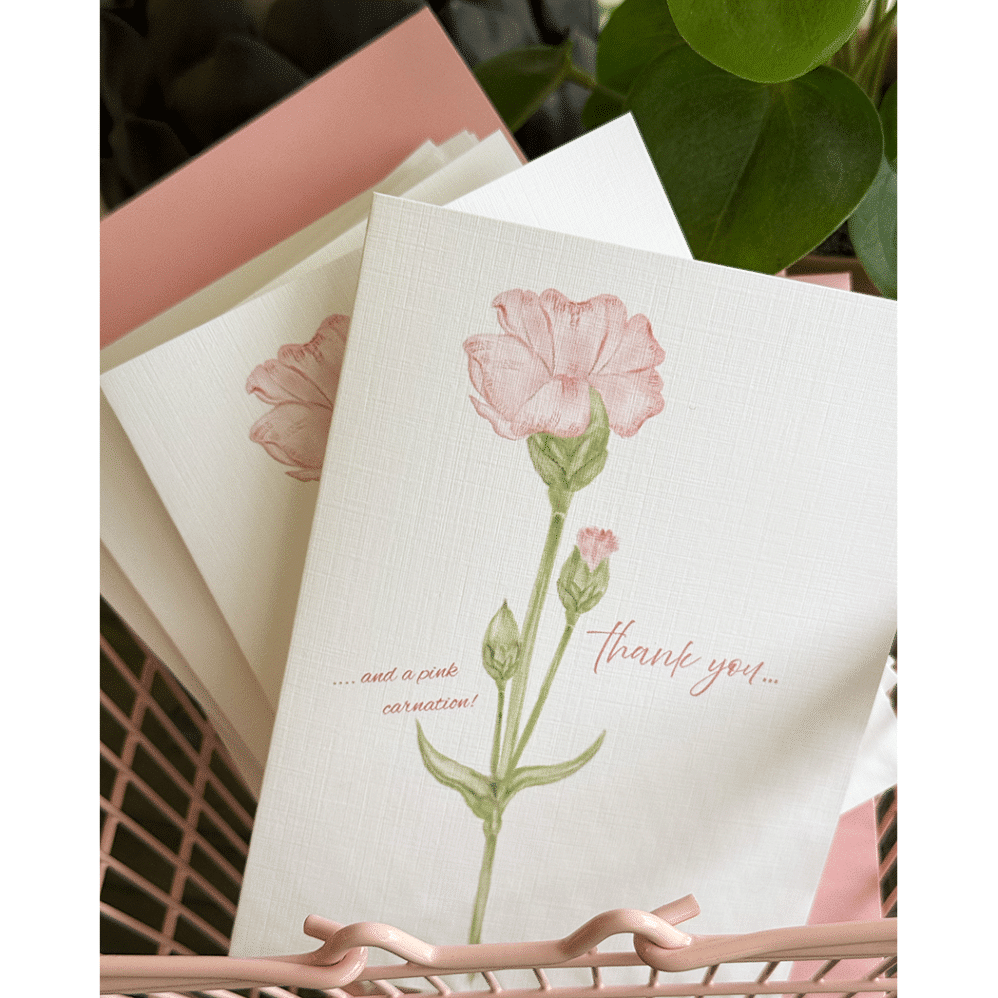 Pink Carnation Note Cards