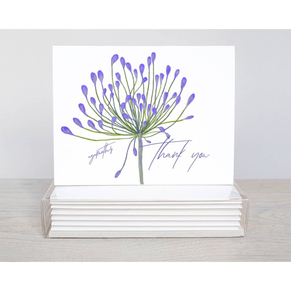 agapanthus thank you note card