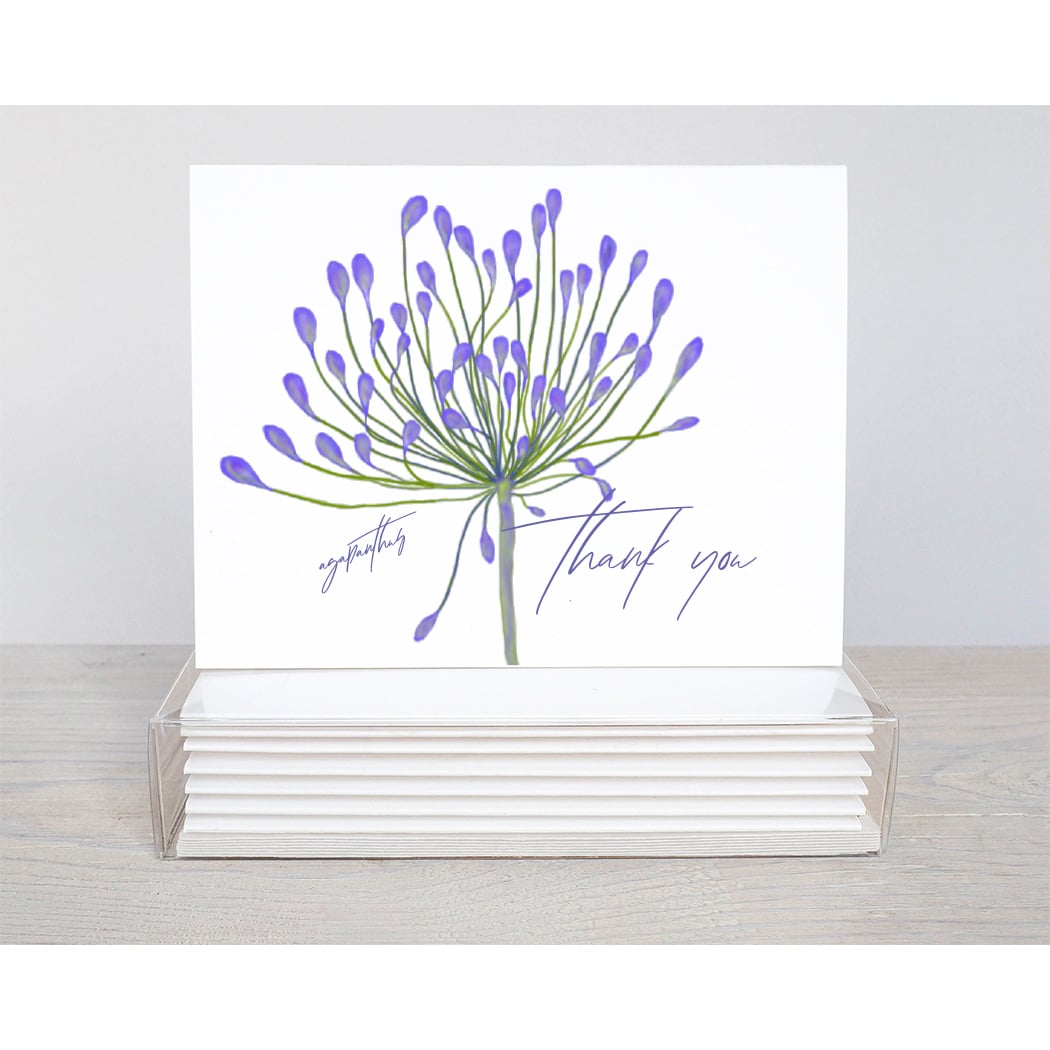 agapanthus thank you note card