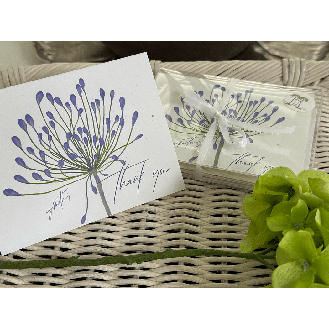 agapanthus thank you