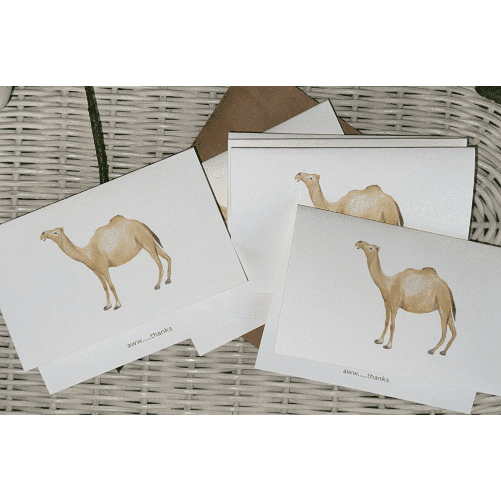 camel aww thanks cards