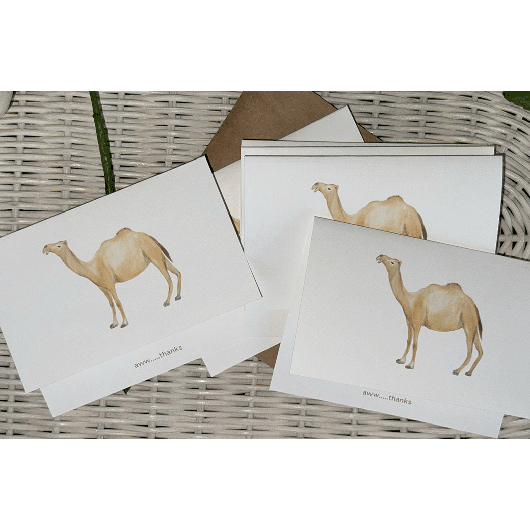 camel aww thanks cards