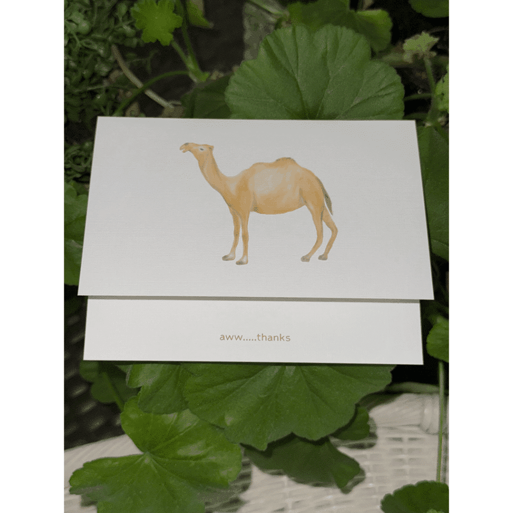 camel aww thanks note