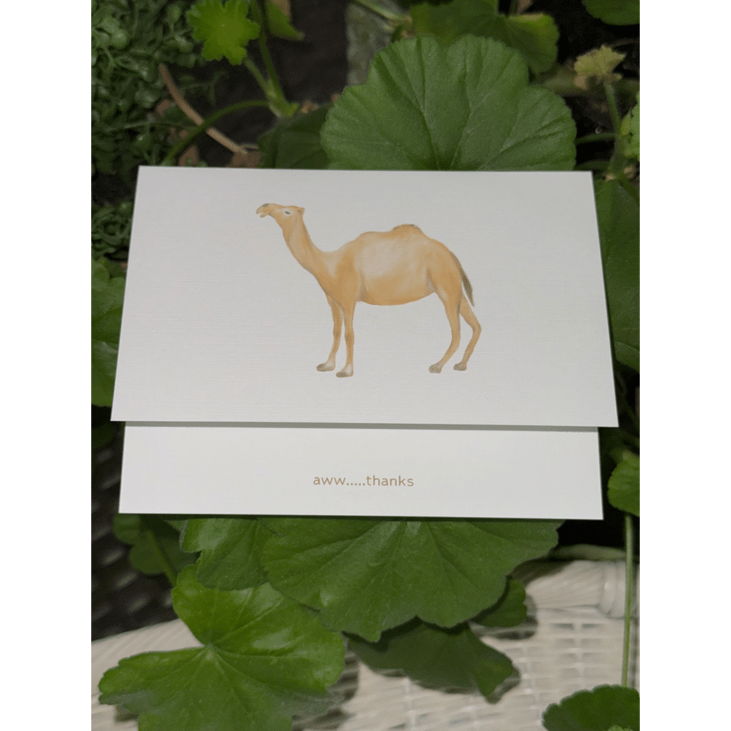 camel aww thanks note