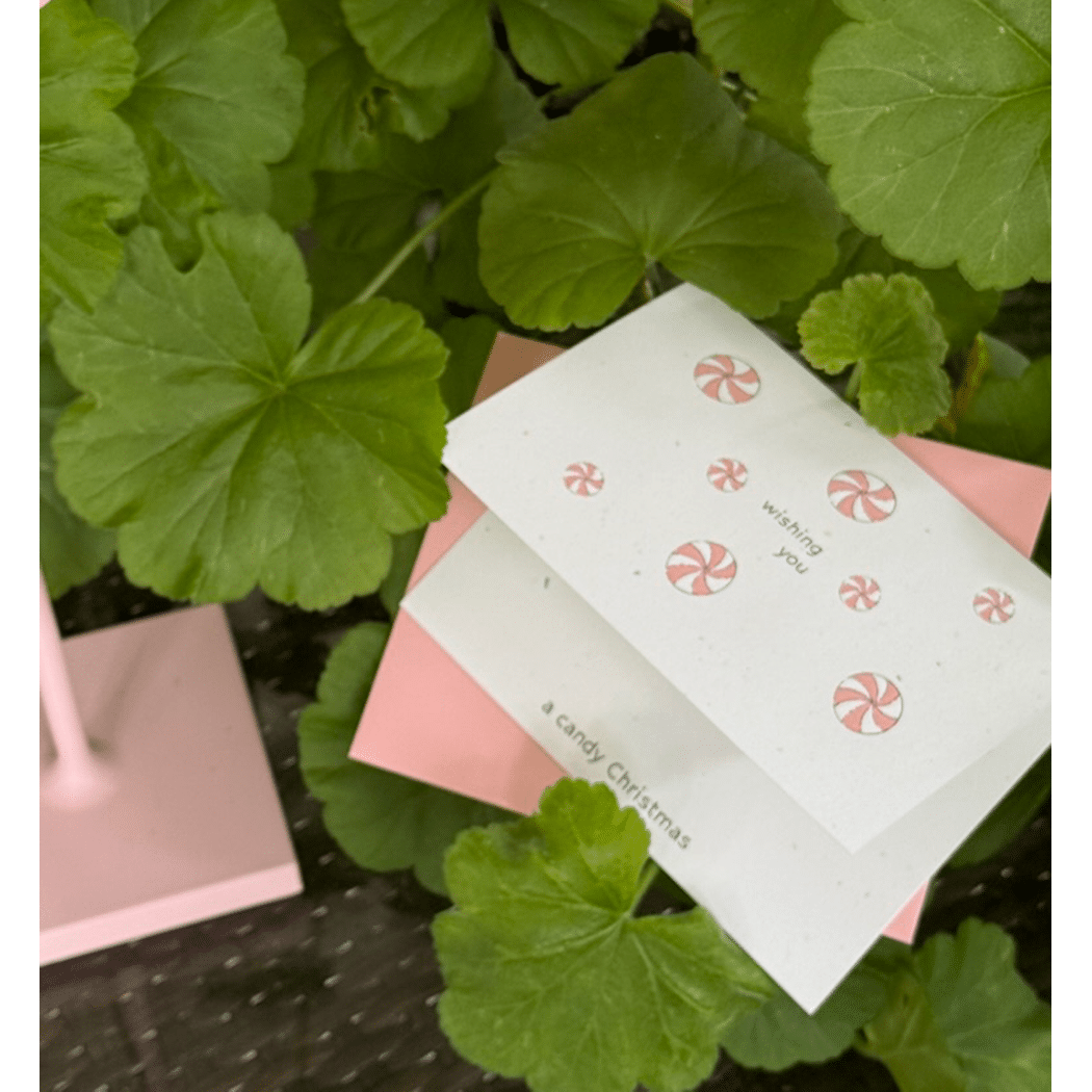 candy christmas note card