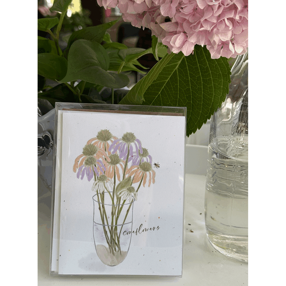 conflower bouquet boxed cards