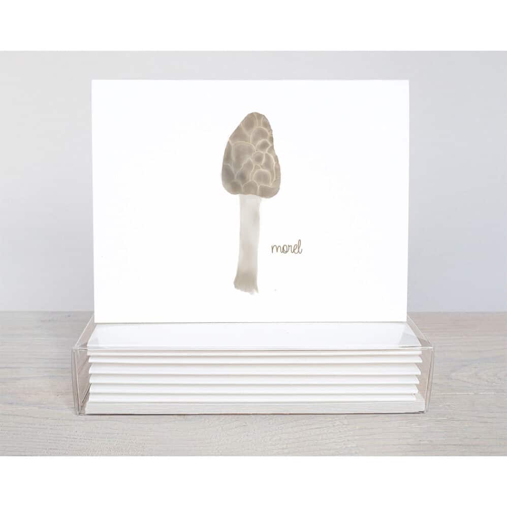 multi fungi note card 5