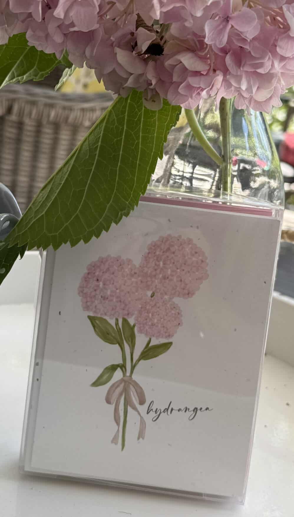 pink hydrangea boxed cards