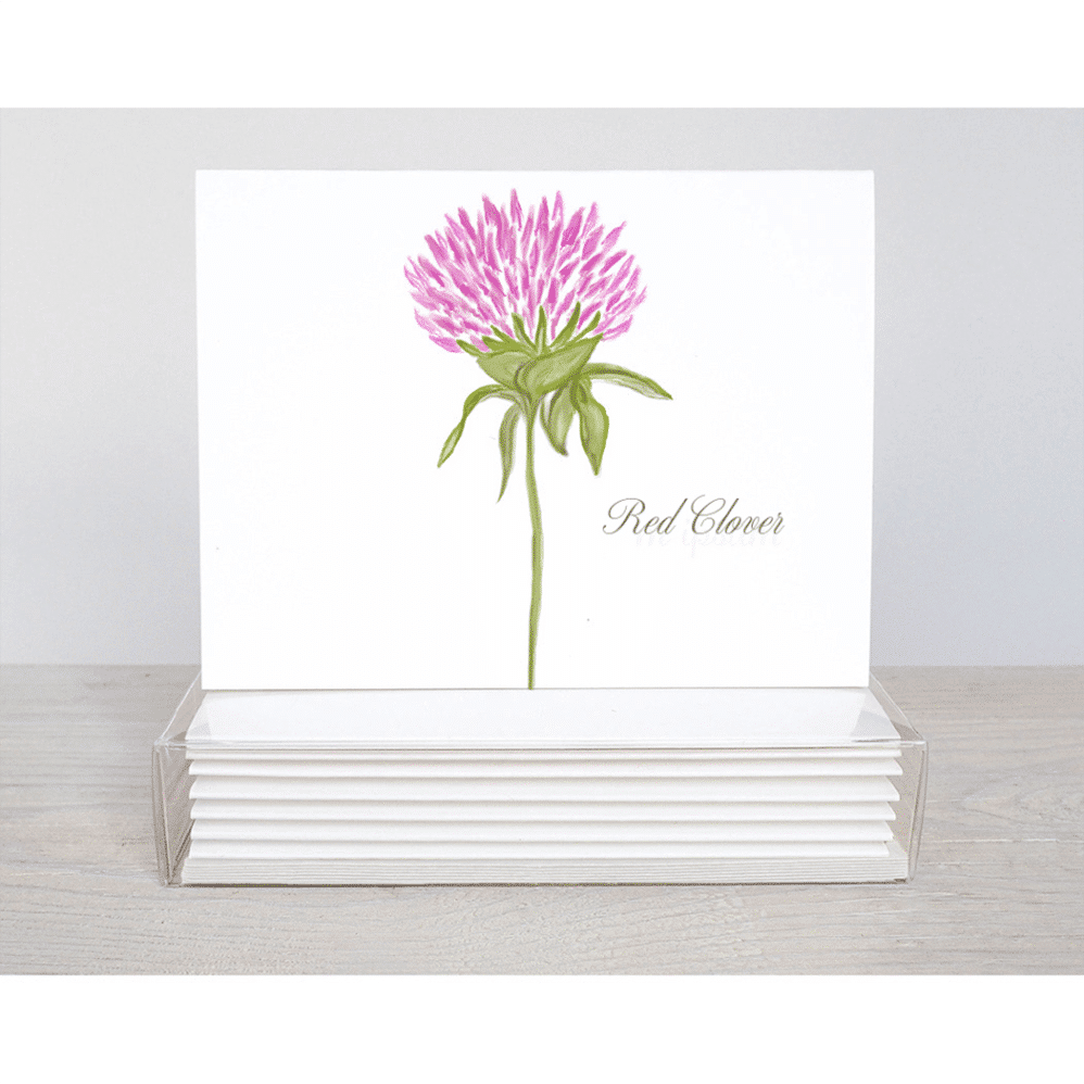 A pretty red clover on an all occasion note cards