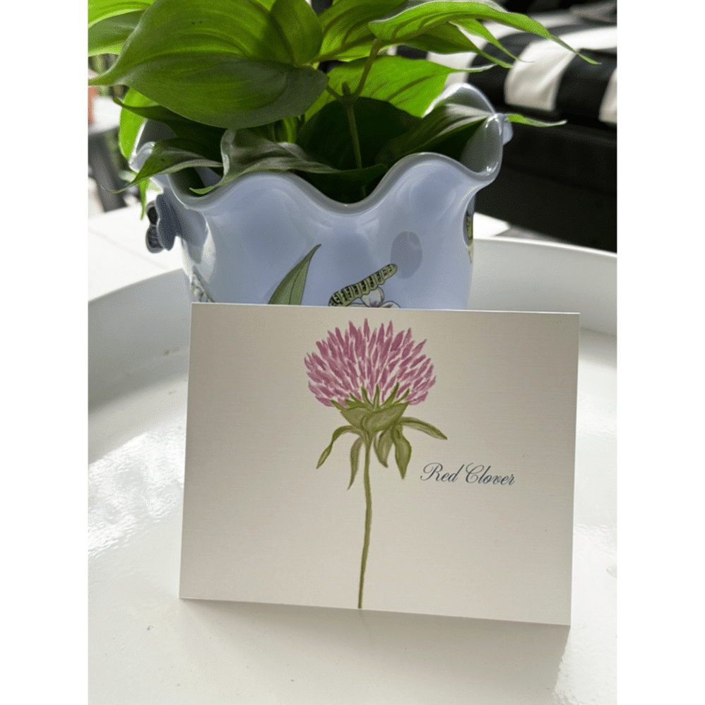 red clover notes